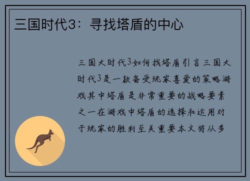 三国时代3：寻找塔盾的中心